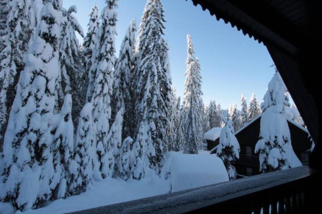 Chalet Trzinka - Triglav National Park Goreljek Eksteriør bilde