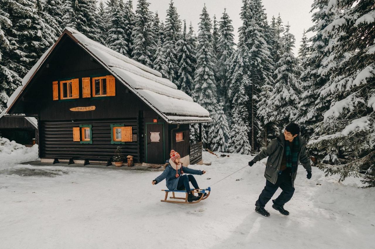 Chalet Trzinka - Triglav National Park Goreljek Eksteriør bilde